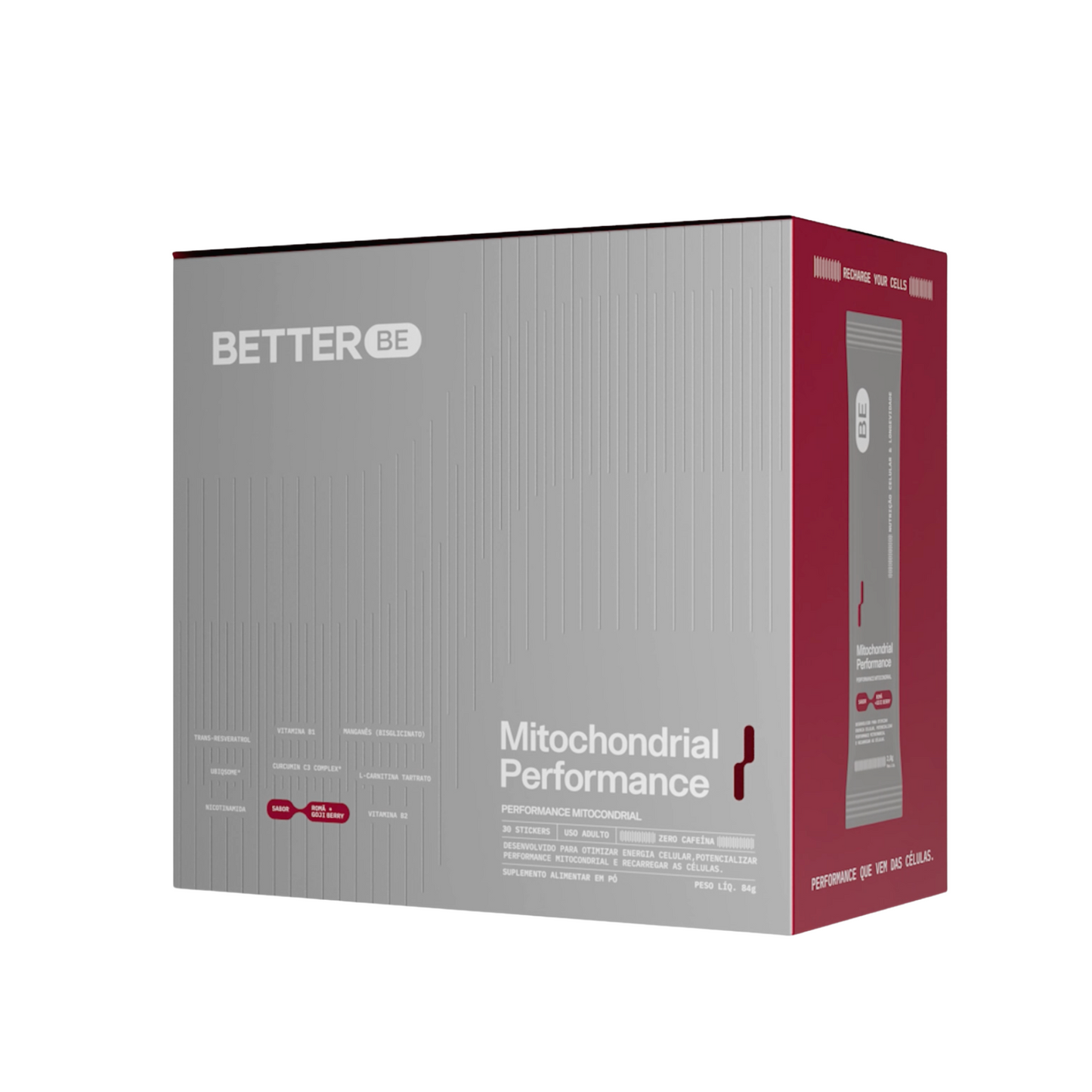 Performance Mitocondrial