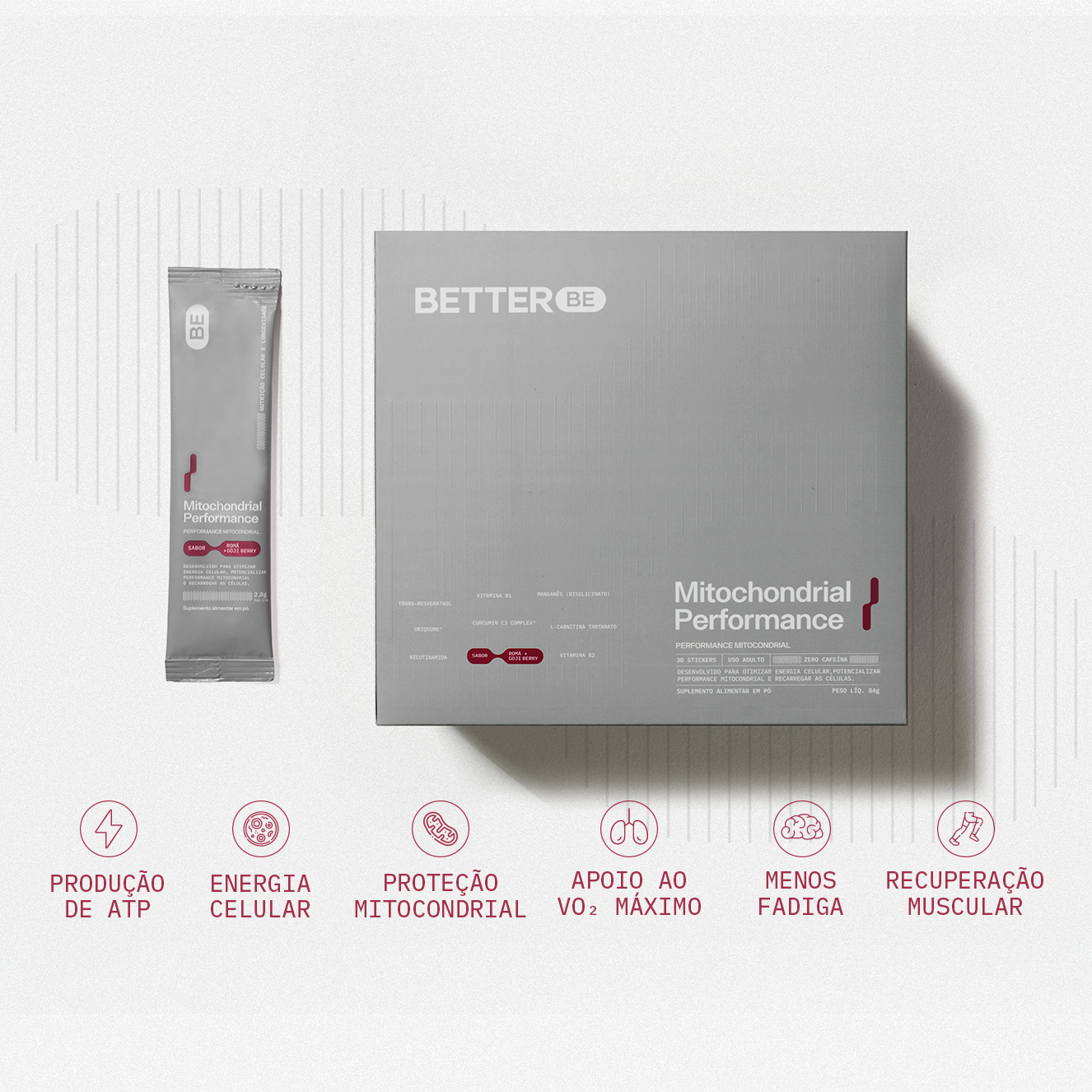 Performance Mitocondrial