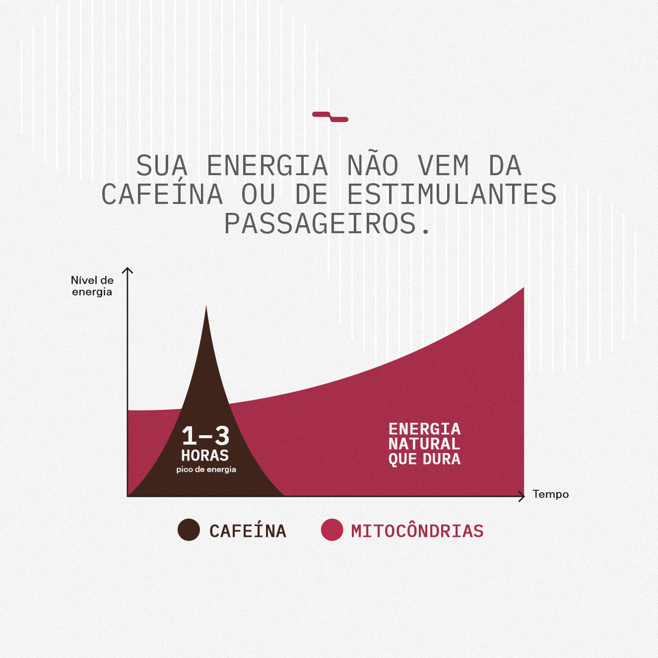 Performance Mitocondrial