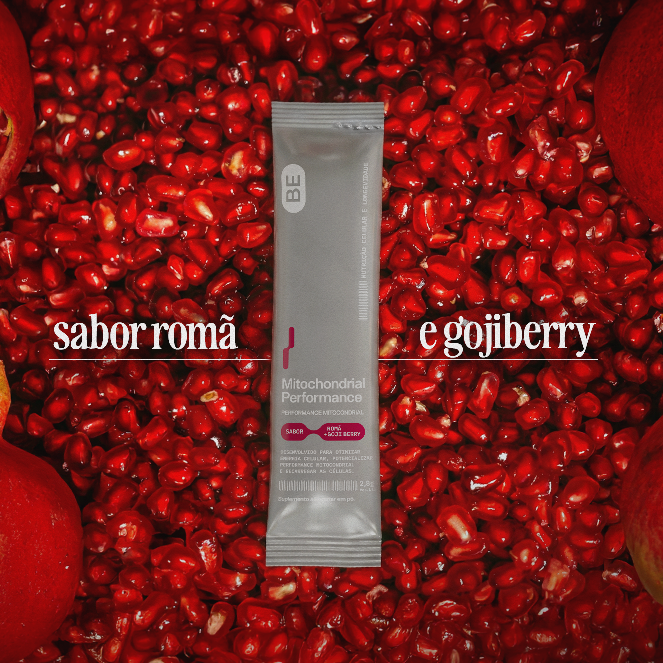 Performance Mitocondrial